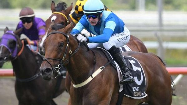 Nakhle duo primed for Te Rapa