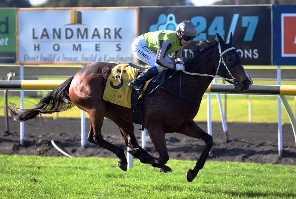 Rocababy all the way at New Plymouth