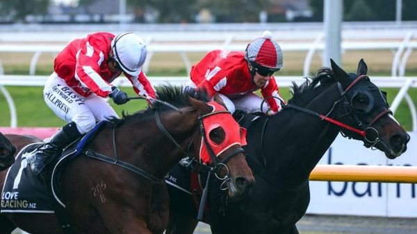 Repeat quinella for Pitman pair