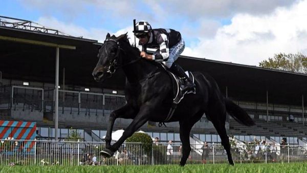 Sumi heads home-track team for Sharrock