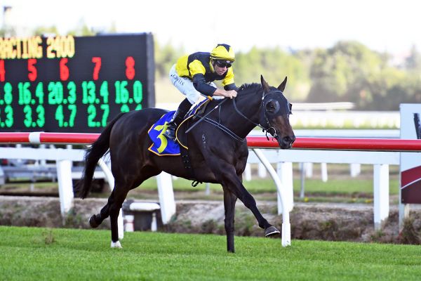 The Fearless One out for Cup win