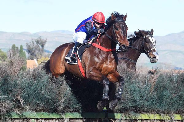 Torque Time to take on Hawke's Bay Steeplechase