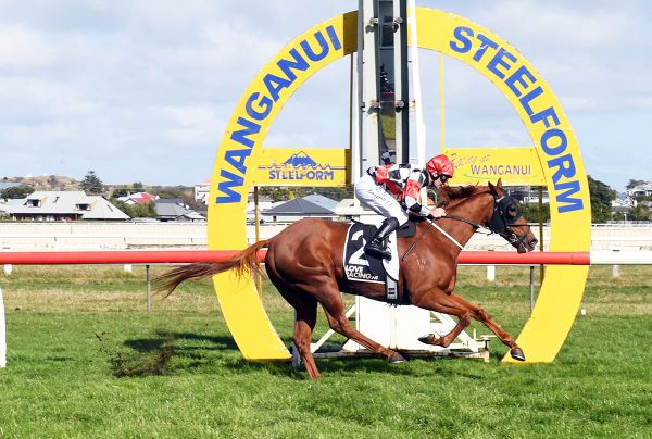 Wewillrock sticking close to home