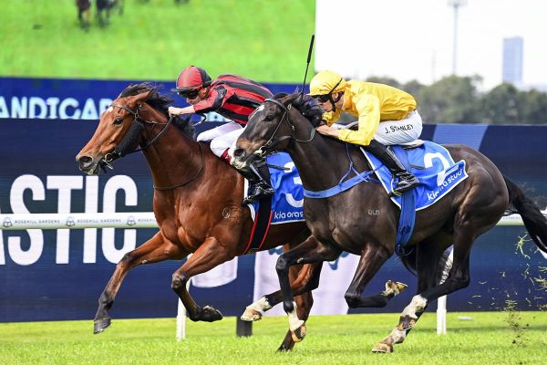Amberite provides Laurie with inaugural Sydney success