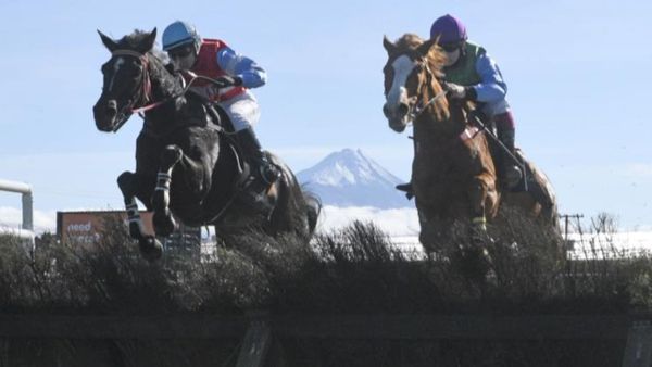 Brosnan team look towards Te Aroha test