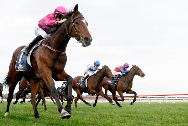 Belardi bags black-type win