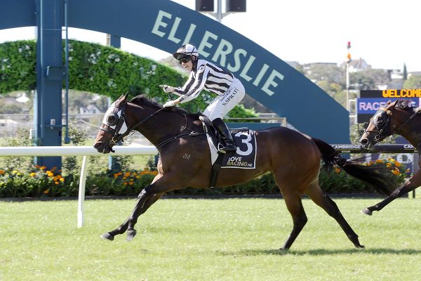 Two-time G1 winner ready to rebound at Rosehill