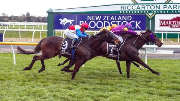 Heavy track ideal for Burnvue in Amberley Cup