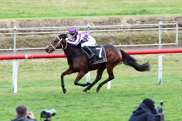 Casino Princess lands popular win in Tauranga Classic