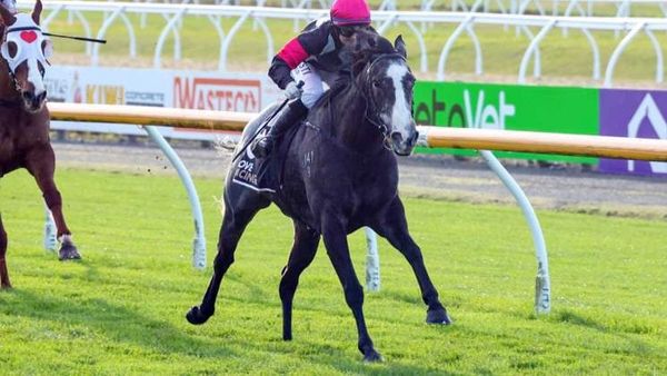 Catherinenz brings Patterson one step closer to season goal