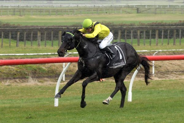 Spratt on song at Tauranga