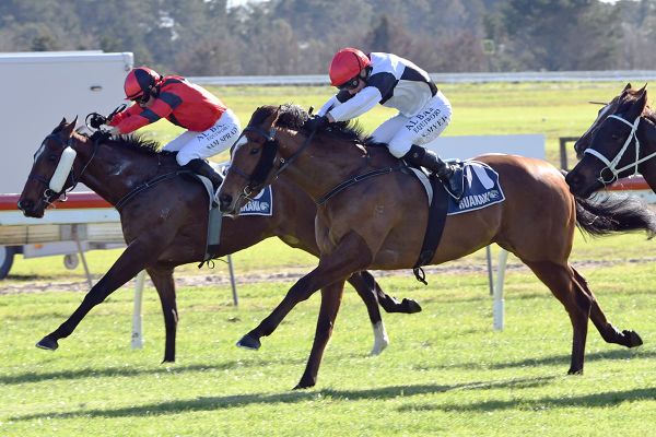 Dupont delivers on debut