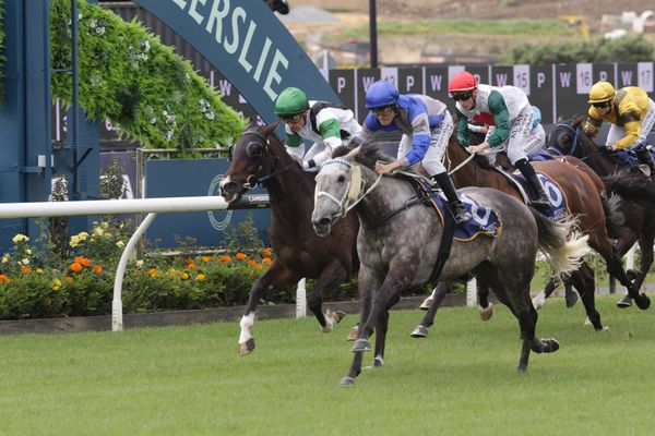 Gentian Blue up for Australian campaign