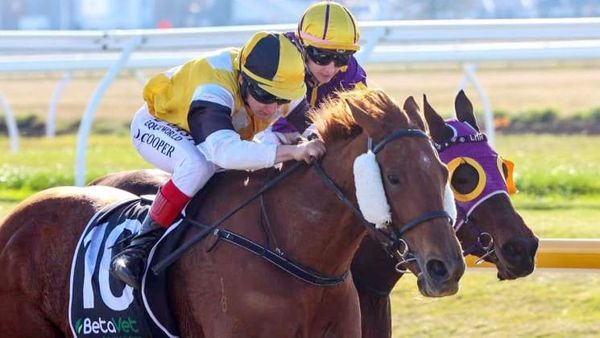 Beckett holds strong hand at synthetic meeting