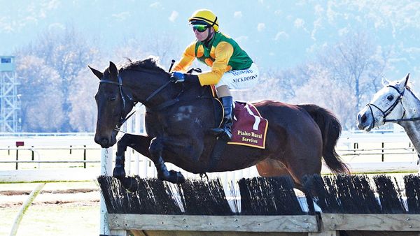 Grand National plans for Liefting pair