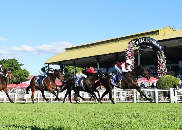 La Crique sent for deserved spell