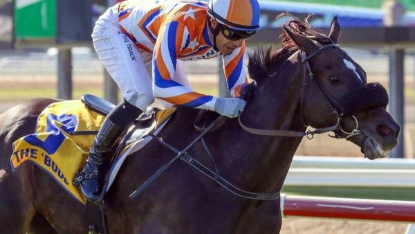 Leaderboard finds new avenue of success