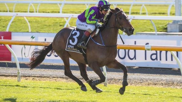 Lord Spencer seeking Waikato Hurdle crown