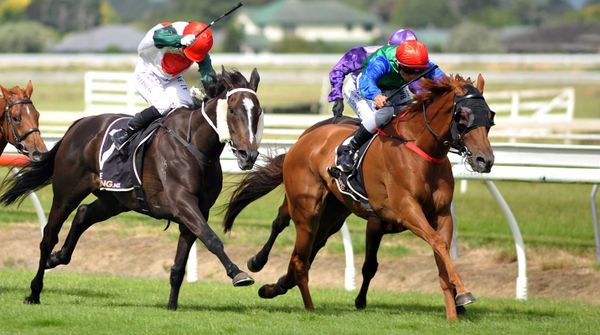 Marroni seeking Trentham success