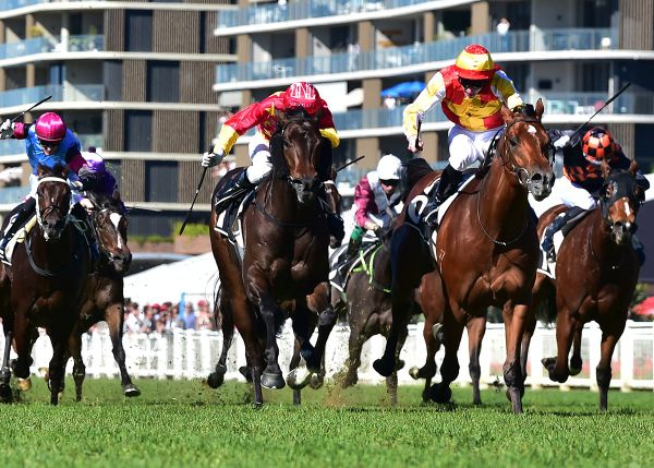 Megastar Heart digs deep for stakes success