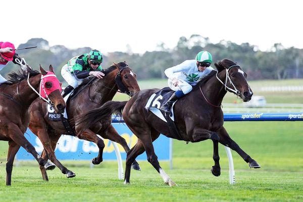 Name Dropper remains undefeated