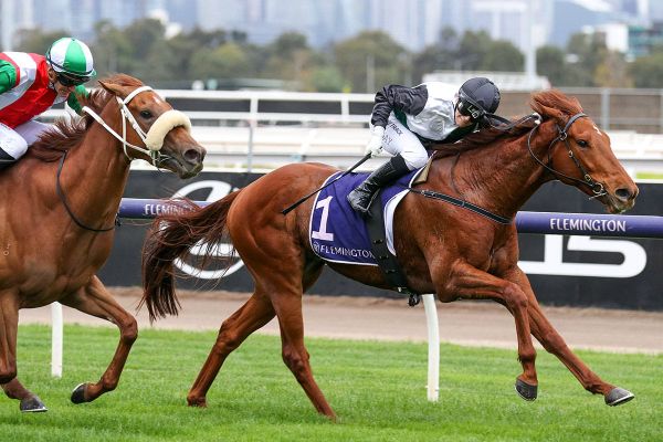 Rise At Dawn withstands late challenge