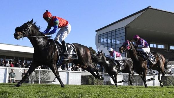 Solidify scores fifth career win