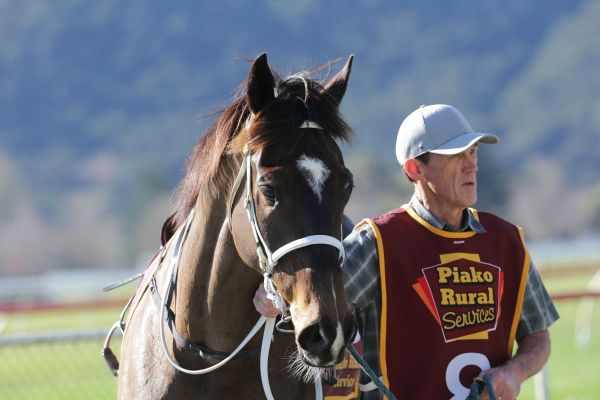 Jumping success a dream come true for Blackie