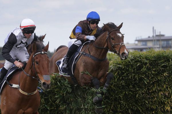 Nelson/McDougal duo face weighty Te Rapa task