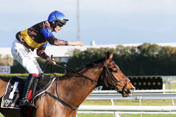 The Cossack back on top at Te Rapa