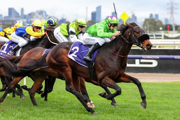 Virtuous Circle notches Flemington win
