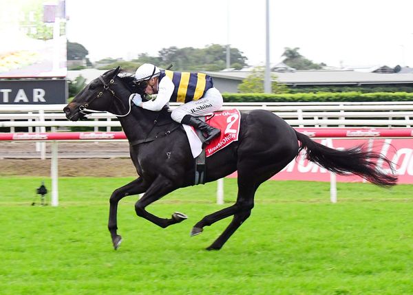 Warmonger assigned 53.5kgs for Cups