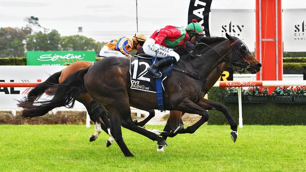 Better Times Tauranga bound