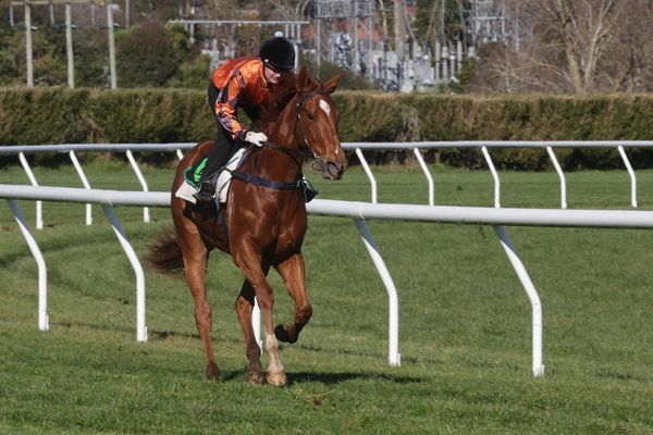 Collett two-year-old set for debut