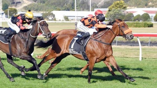 Bradman a key Opunake Cup contender