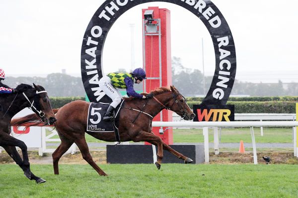 Handy mare heading to Rotorua