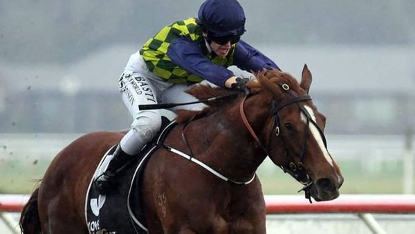 Caitlyns Wish aiming for Sprint hattrick