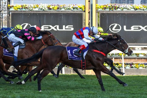 Cindy Falls stars in second Australian start