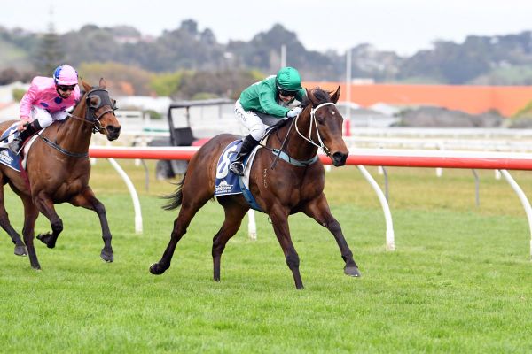 Conor O’Ceirin eyeing southern bonus