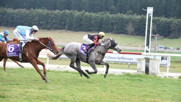 Diablo Blanco all class at Oamaru