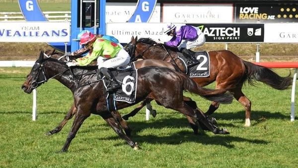 Murdochs wrap up season with Tauranga win