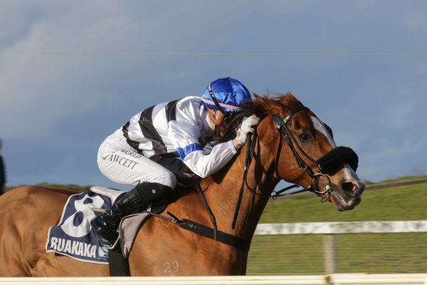 Flying Fawcett takes Whangarei Gold Cup