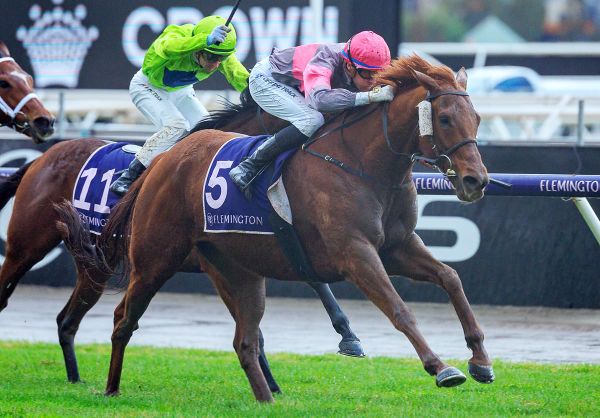 Jack attempts Cup repeat