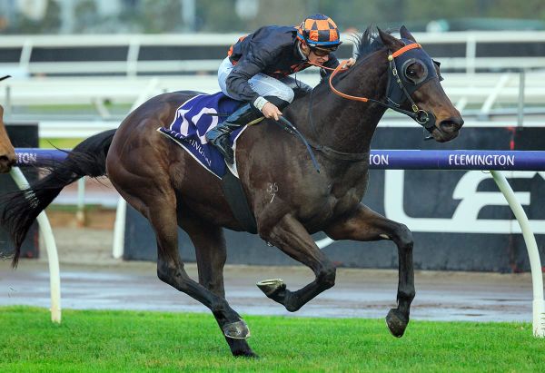 Horrifying back in form with fourth Flemington win