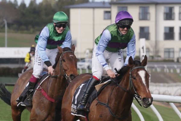 Interllectus too tough at Te Rapa