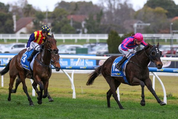 Jabbawockeez masters 2000m at Caulfield