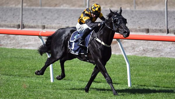 Forsman runners impress in trials