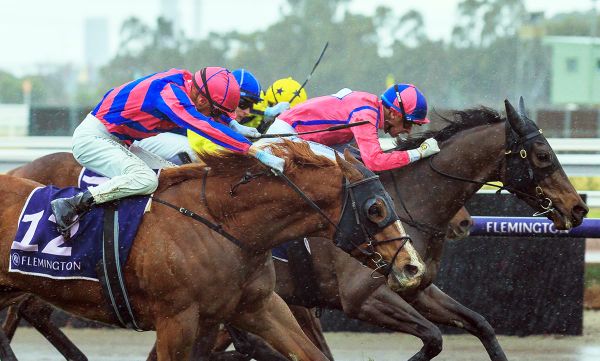 Liberami makes statement with Flemington upset