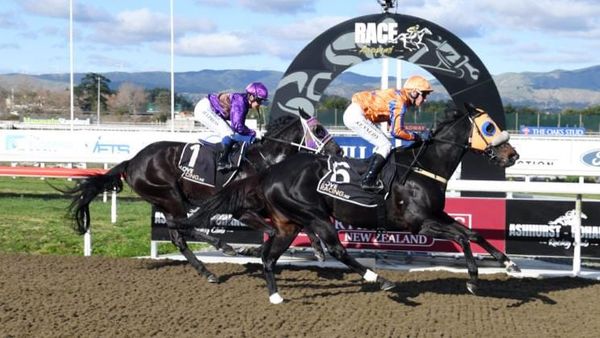 Luxuriant shines at Awapuni