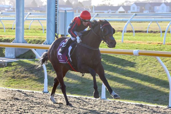Carston team out in force at Riccarton